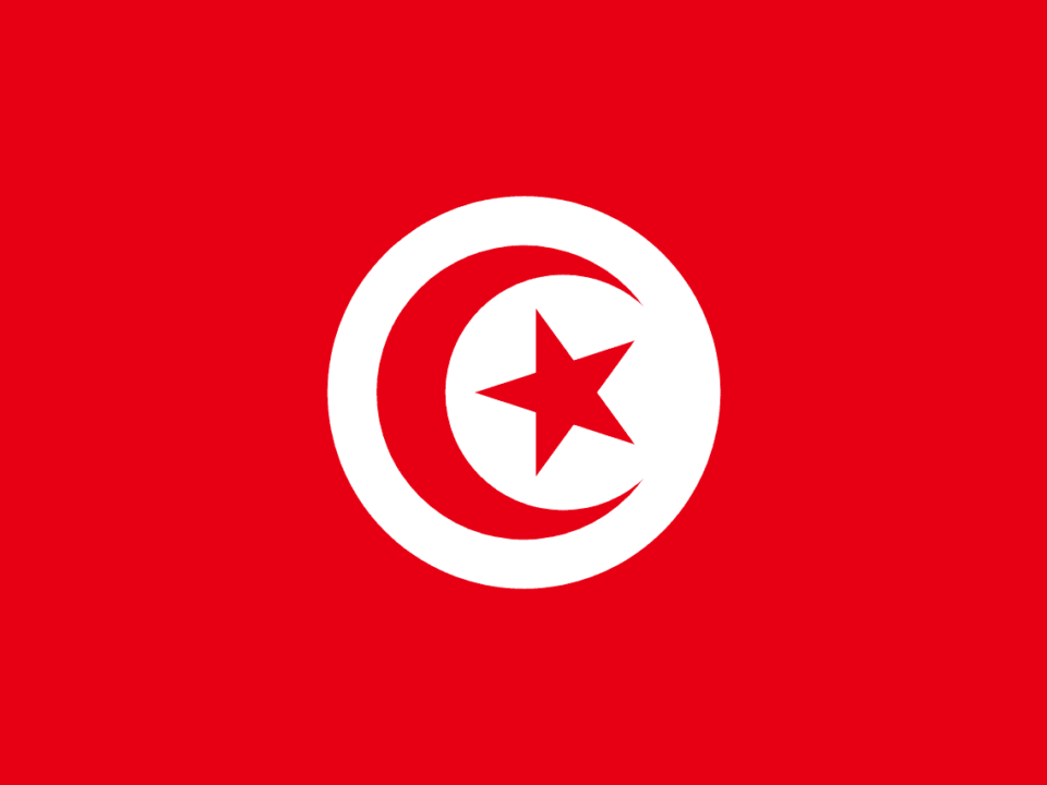 ویزای توریستی تونس