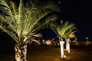 اردوگاه الخیمه، حنیوه - تصویر 28