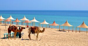 موزههای مشیرب: نگهبانان میراث اجتماعی قطر - تصویر 6