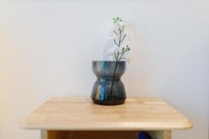 جیانگ مای 81، سی فوم، چیانگ مای - تصویر 25