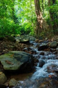 باغ سازگار با محیط زیست پارادایس - تصویر 8