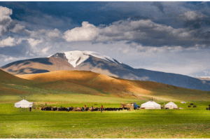 تور مغولستان